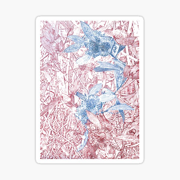 Hakea, Red and Blue Sticker