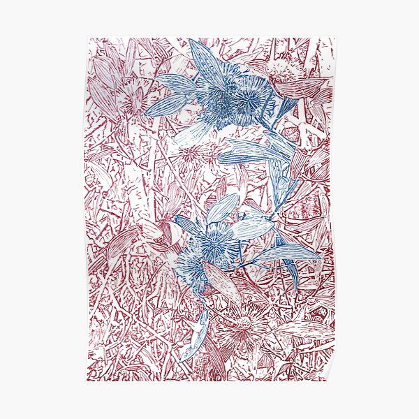 Hakea, Red and Blue Poster