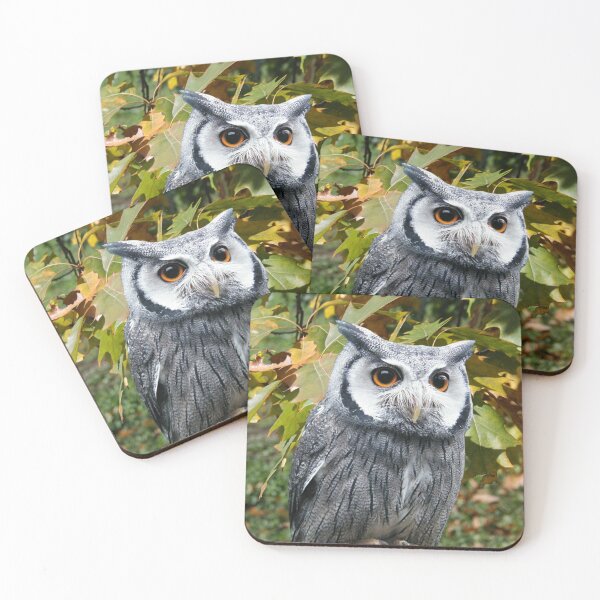 Item preview, Owl and Leaves designed and sold by Erika Kaisersot.