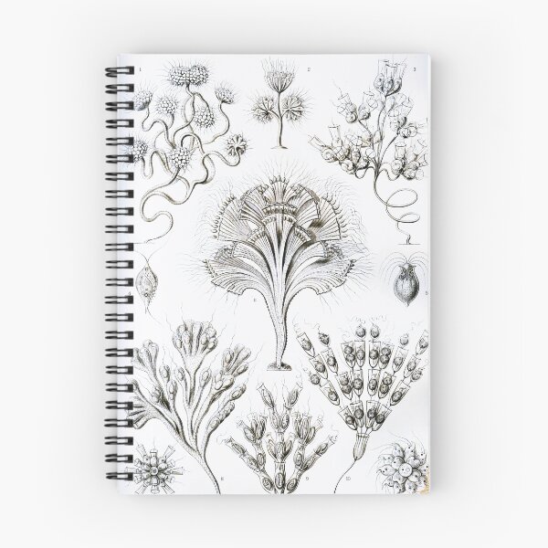 Item preview, Art Forms in Nature - Amazing HD vintage design number 48 designed and sold by MINDTHECHERRY.
