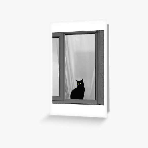 Cats Eyes And Curtains Greeting Card