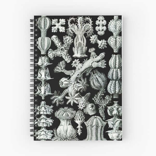Item preview, Art Forms in Nature - Amazing HD vintage design number 50 designed and sold by MINDTHECHERRY.