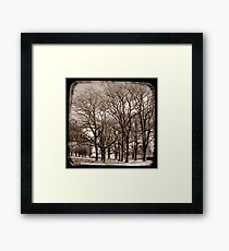 The Elms - Gostwyck, New South Wales, Australia Framed Print