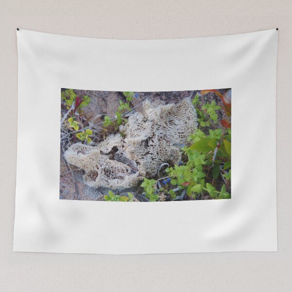 Item preview, Sea Lichen designed and sold by lezvee.