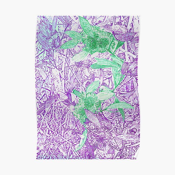 Hakea, Purple and Green Poster