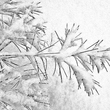 Artwork thumbnail, A Wintry Script by RVogler