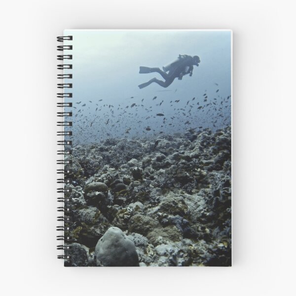 Item preview, THE CORAL NICHE designed and sold by NICK COBURN PHILLIPS.