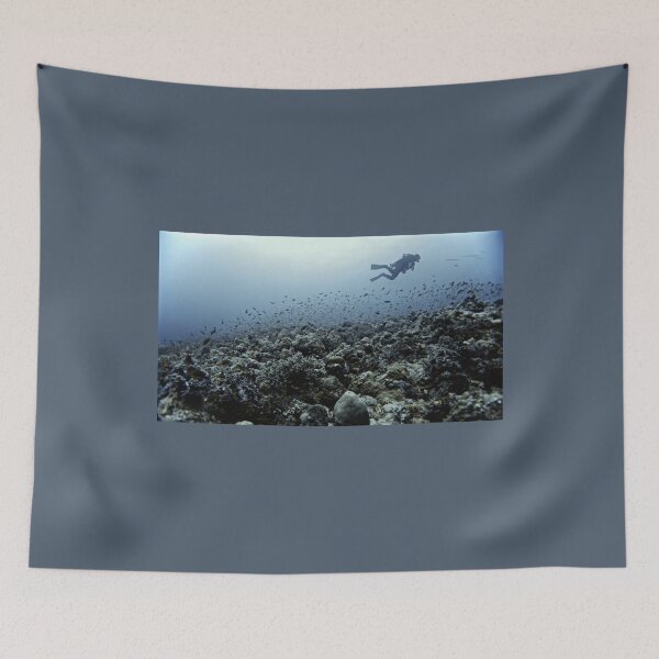 Item preview, THE CORAL NICHE designed and sold by NICK COBURN PHILLIPS.