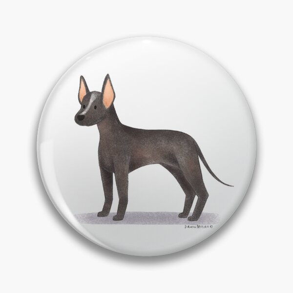 Item preview, Xoloitzcuintle Dog designed and sold by julianamotzko.