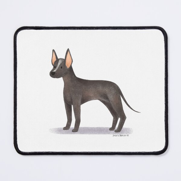 Item preview, Xoloitzcuintle Dog designed and sold by julianamotzko.