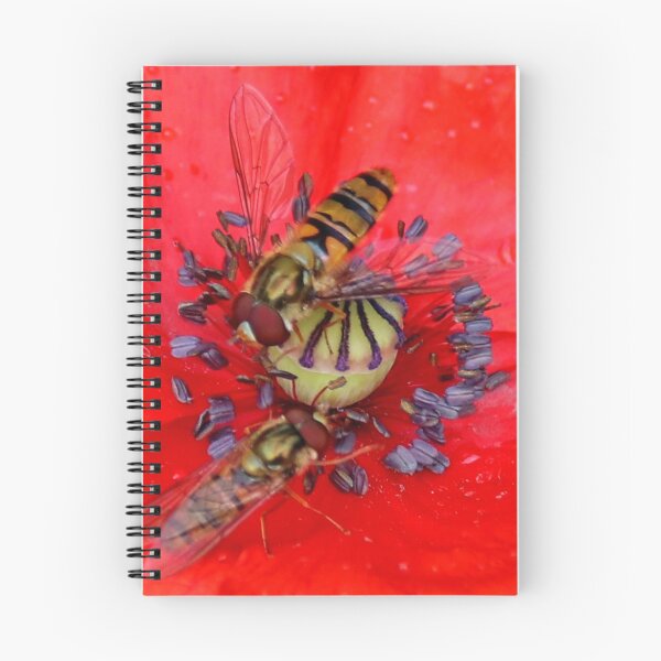 Item preview, Hover Flies on a Poppy designed and sold by AnnDixon.