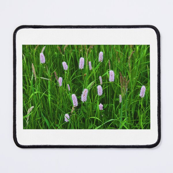 Item preview, Lavender in Spring designed and sold by nataliespics.