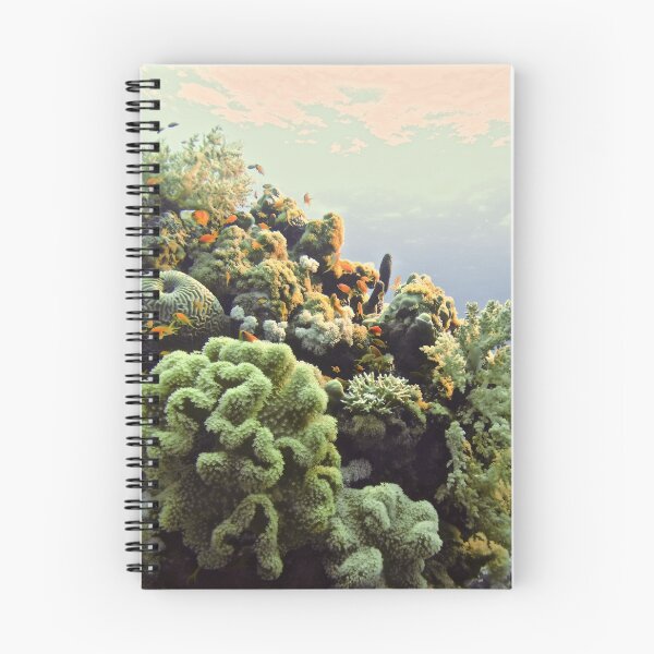 Item preview, VIDEO DIARIES designed and sold by NICK COBURN PHILLIPS.