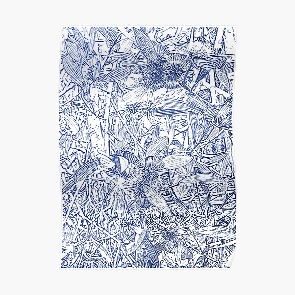 Hakea, Blue Poster