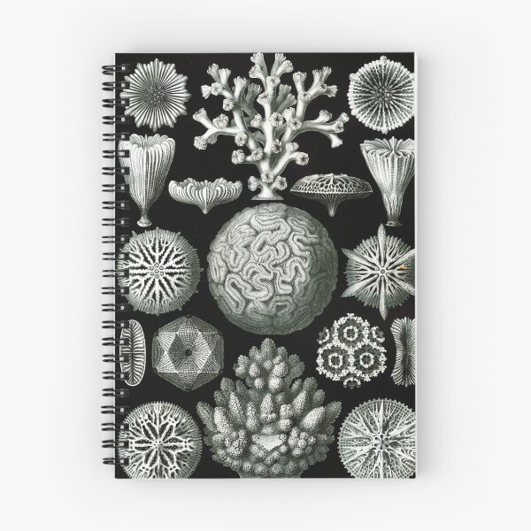 Item preview, Art Forms in Nature - Amazing HD vintage design number 51 designed and sold by MINDTHECHERRY.