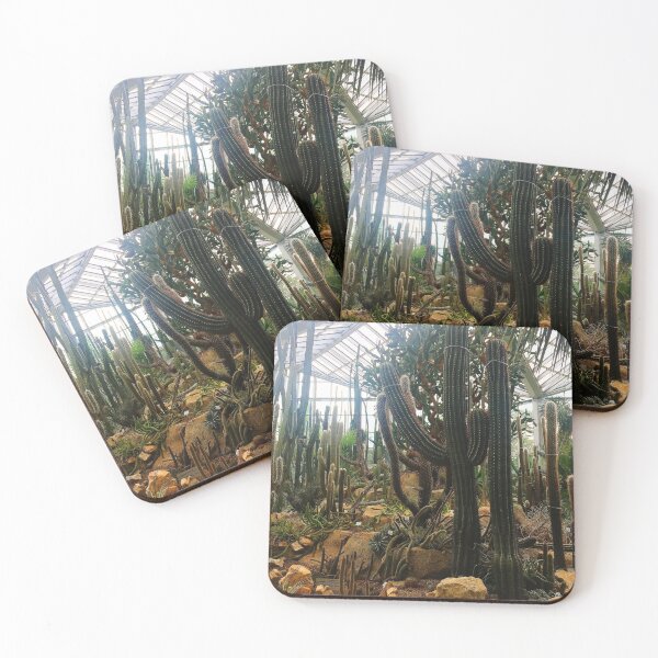 Item preview, Cacti in the palm garden designed and sold by nataliespics.