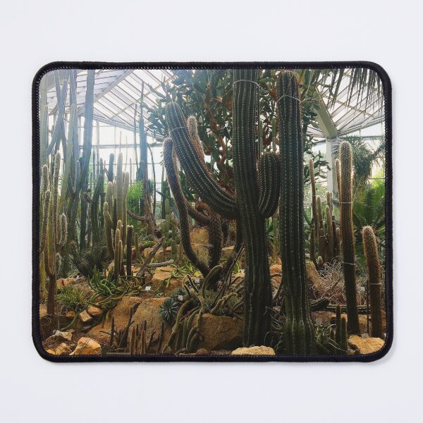 Item preview, Cacti in the palm garden designed and sold by nataliespics.
