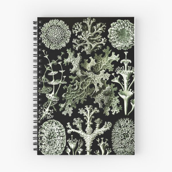 Item preview, Art Forms in Nature - Increíble diseño vintage HD número 54 designed and sold by MINDTHECHERRY.