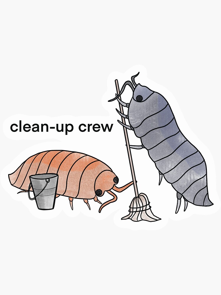 "Clean up crew" Sticker for Sale by cattledogart Redbubble