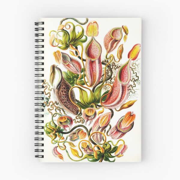 Item preview, Art Forms in Nature - Amazing HD vintage design number 62 designed and sold by MINDTHECHERRY.