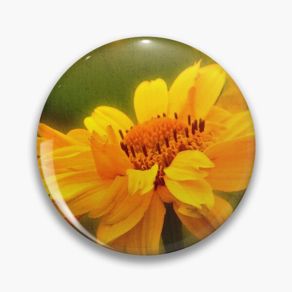 Item preview, Bright Phoebus designed and sold by Neil Finnemore.