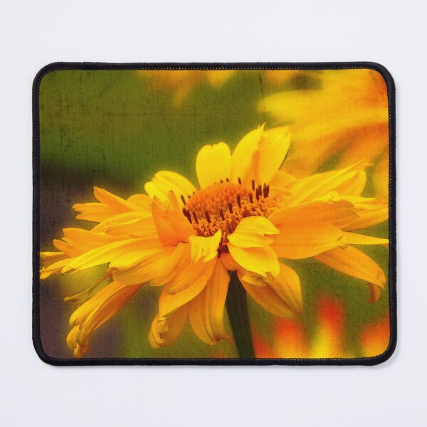 Item preview, Bright Phoebus designed and sold by Neil Finnemore.
