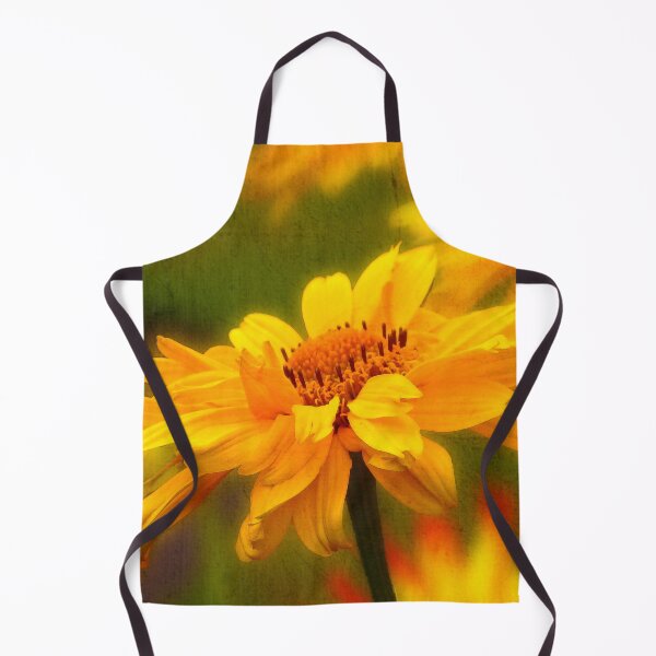 Item preview, Bright Phoebus designed and sold by Neil Finnemore.