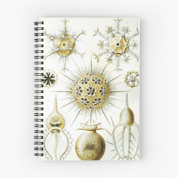 Item preview, Art Forms in Nature - Amazing HD vintage design number 70 designed and sold by MINDTHECHERRY.