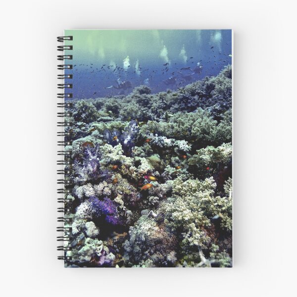 Item preview, REEF SCENE designed and sold by NICK COBURN PHILLIPS.
