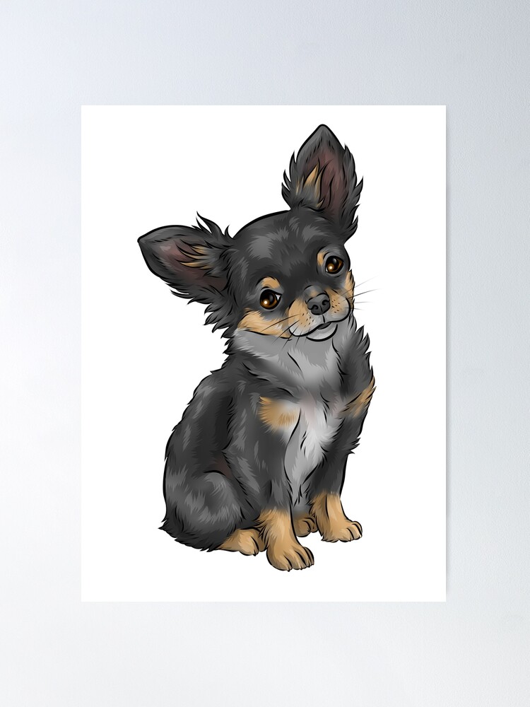 Long haired black and tan outlet chihuahua