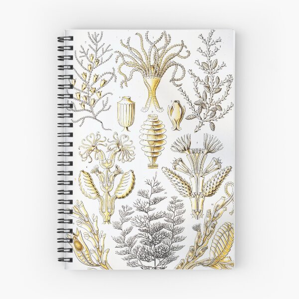 Item preview, Art Forms in Nature - Amazing HD vintage design number 75 designed and sold by MINDTHECHERRY.