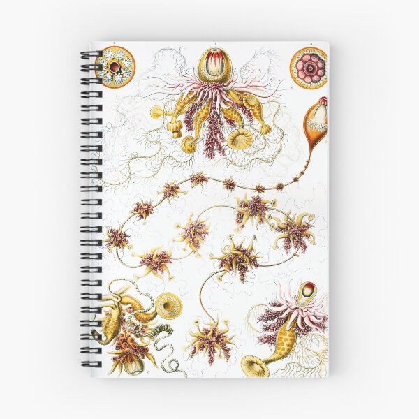 Item preview, Art Forms in Nature - Amazing HD vintage design number 78 designed and sold by MINDTHECHERRY.