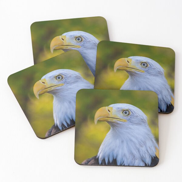 Item preview, Autumn Eagle designed and sold by Greg Birkett.