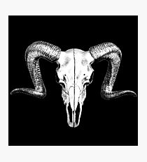 Gothic Ram Skull Photographic Print