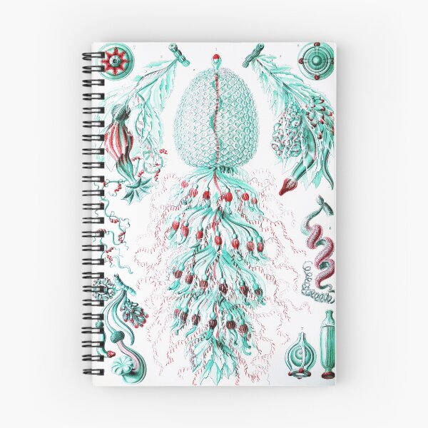 Item preview, Art Forms in Nature - Amazing HD vintage design number 80 designed and sold by MINDTHECHERRY.