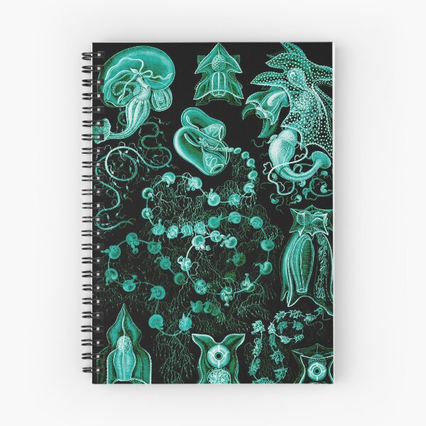 Item preview, Art Forms in Nature - Amazing HD vintage design number 82 designed and sold by MINDTHECHERRY.