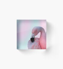 Pink Flamingo Acrylic Block