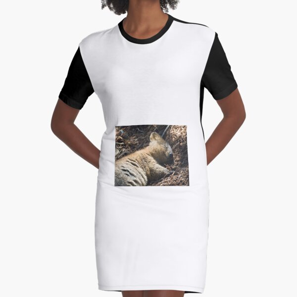 Graphic T-Shirt Dress