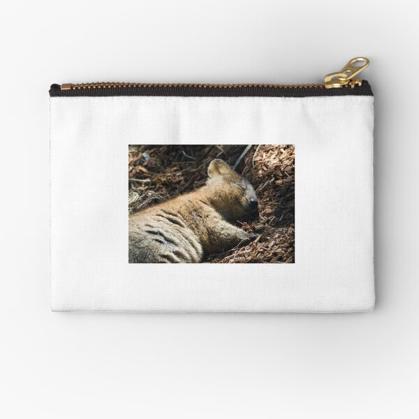 Zipper Pouch