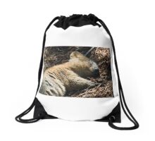 Drawstring Bag