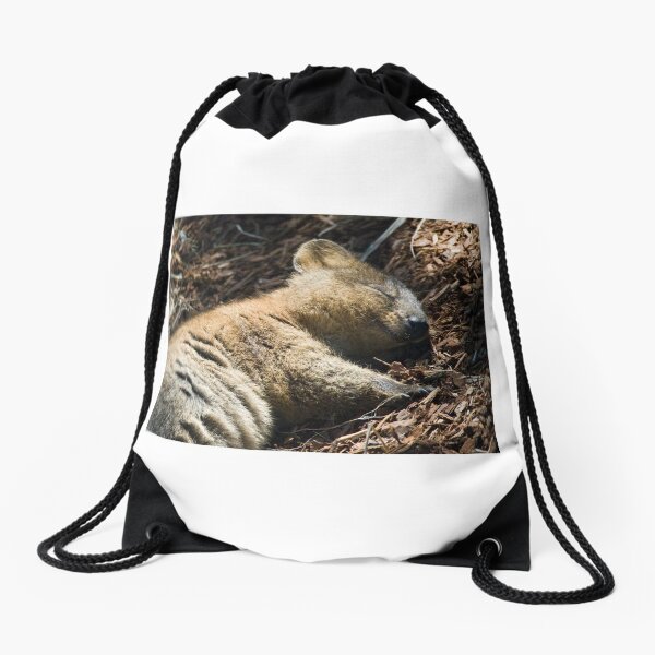 Drawstring Bag
