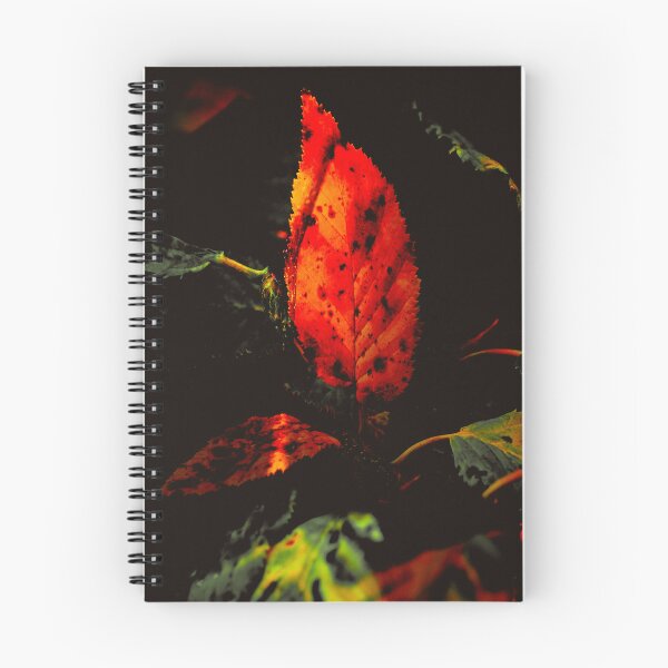 Item preview, AUTUMN MAGIC designed and sold by creefot.