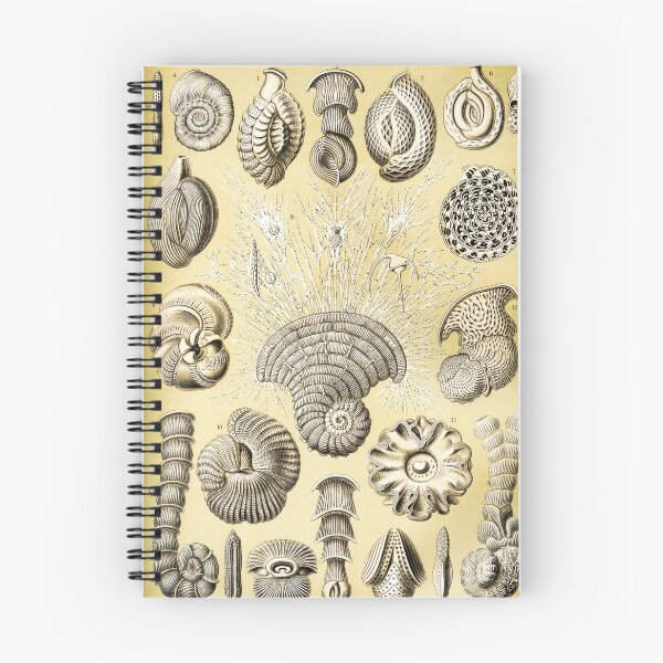 Item preview, Art Forms in Nature - Increíble diseño vintage HD número 90 designed and sold by MINDTHECHERRY.