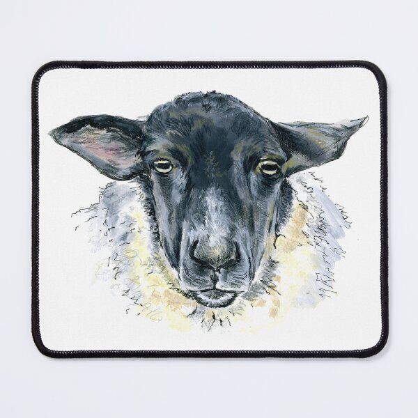 Item preview, Suffolk Sheep. A sketch in acrylic by Jane Green. White Background. designed and sold by janesg.