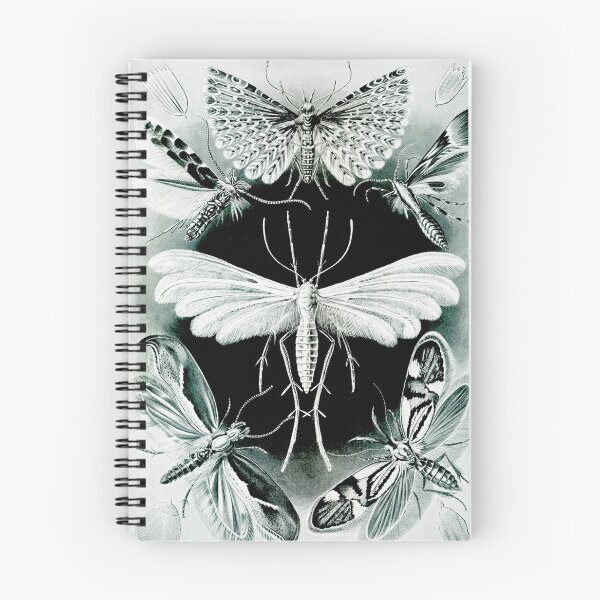 Item preview, Art Forms in Nature - Amazing HD vintage design number 95 designed and sold by MINDTHECHERRY.
