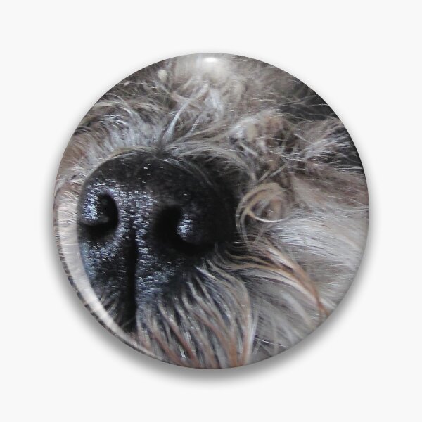 Artikelvorschau, Shih Tzu große Augen entworfen und verkauft von PVagberg.