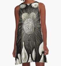 Art Forms in Nature - Amazing HD vintage design number 92 A-Line Dress