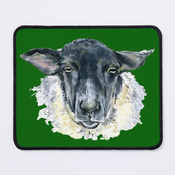 Item preview, Suffolk Sheep. A sketch in acrylic by Jane Green.    Green Background. designed and sold by janesg.