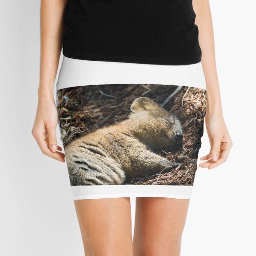 Mini Skirt