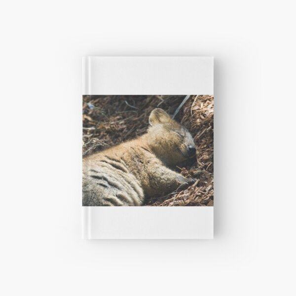 Hardcover Journal